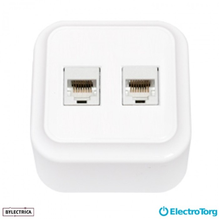 купить купить Розетка компьютерная 2-я  Пралеска белая РК 16-005 BYLECTRICA  