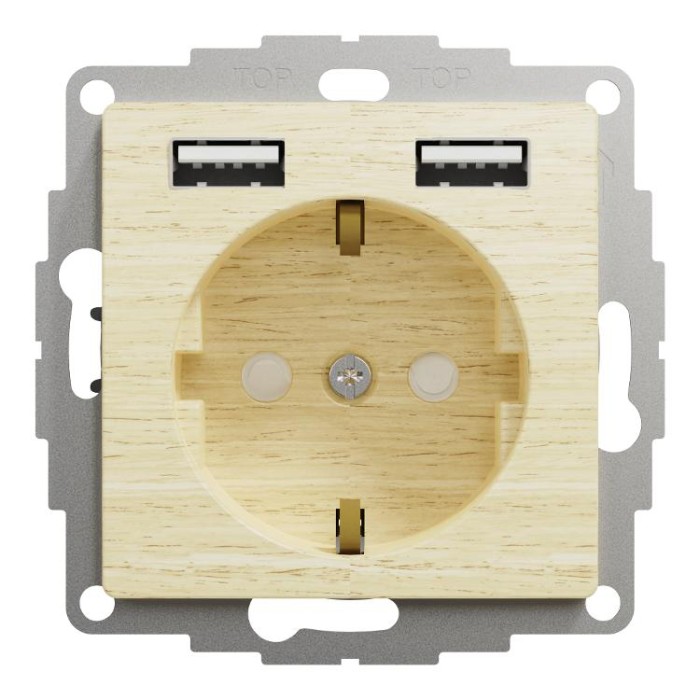 Розетка з заземленням + 2 х USB типу А, Береза Sedna Elements Schneider Electric