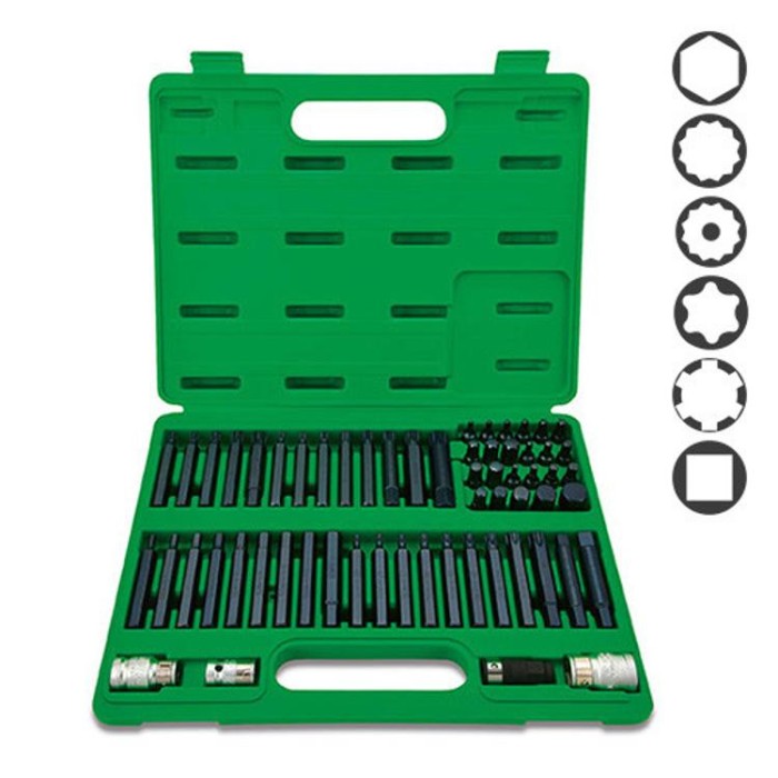 купить купить Профессиональный набор бит TORX, HEX, SPLINE, RIBE, SQ 60ед. TOPTUL GCAI6003  