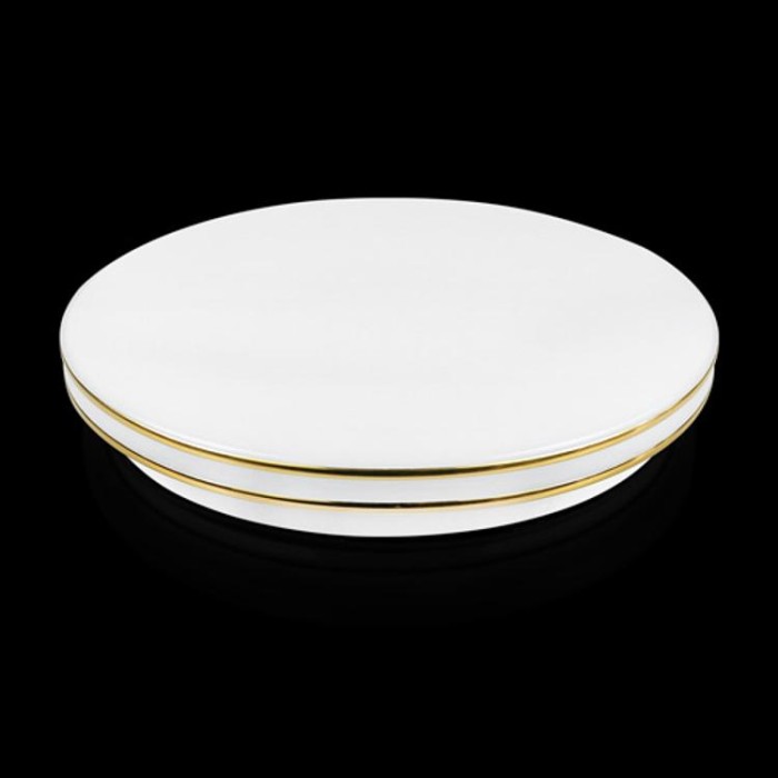 купить купить Декоративная лента DS-R380-03-2G к светильникам DEL-R-20-30-4 DIY и SML-R20-50-DIY(2 полоски золото)  
