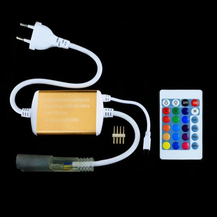 купить купить Контроллер RGB Neon 220B 1200W-IR24-N  