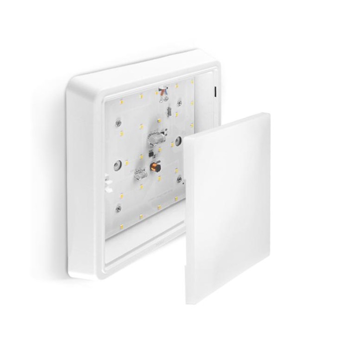 купить купить LED Світильник квадратний накладний TITANUM 24W 5000K  