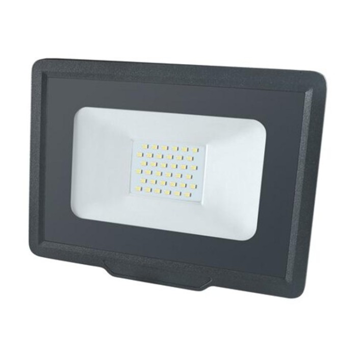 купить купить Светодиодный прожектор BIOM 30W S5-SMD-30-Slim 6200К 220V IP65  