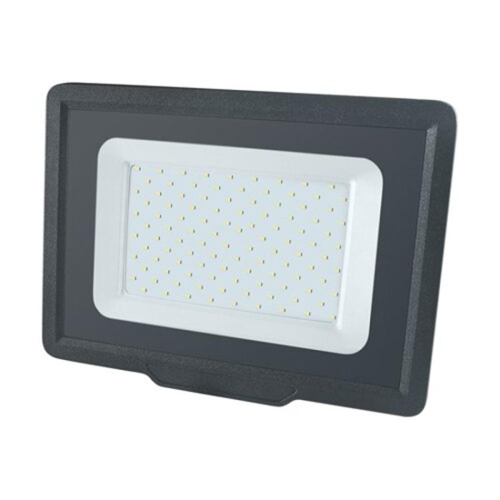 купить купить Светодиодный прожектор BIOM 100W S5-SMD-100-Slim 6200К 220V IP65  