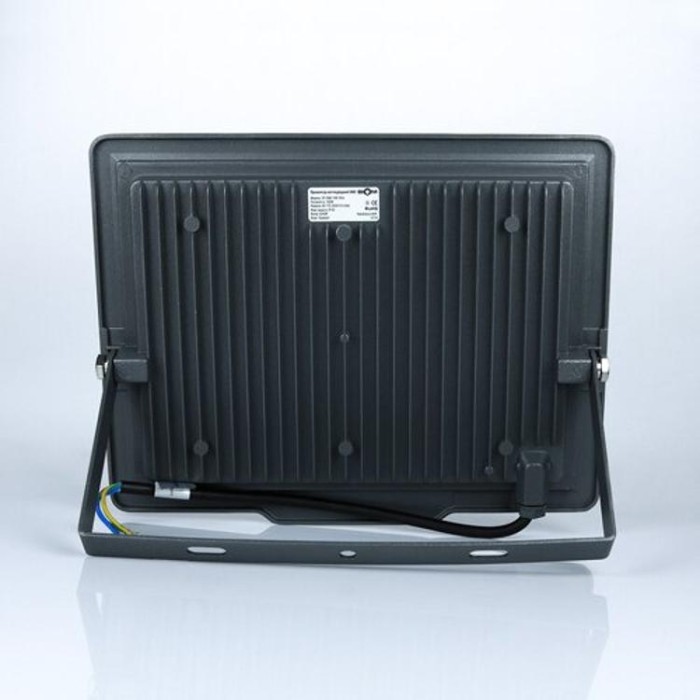 купить купить Светодиодный прожектор BIOM 100W S5-SMD-100-Slim 6200К 220V IP65  