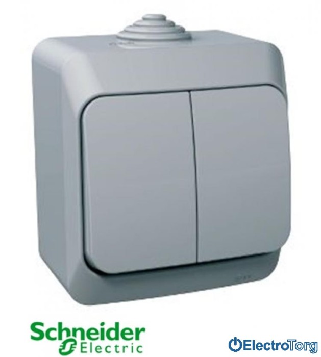 купить купить Выключатель двухклавишный 16A IP44 серый Cedar Plus Schneider Electric (Шнайдер Электрик)  