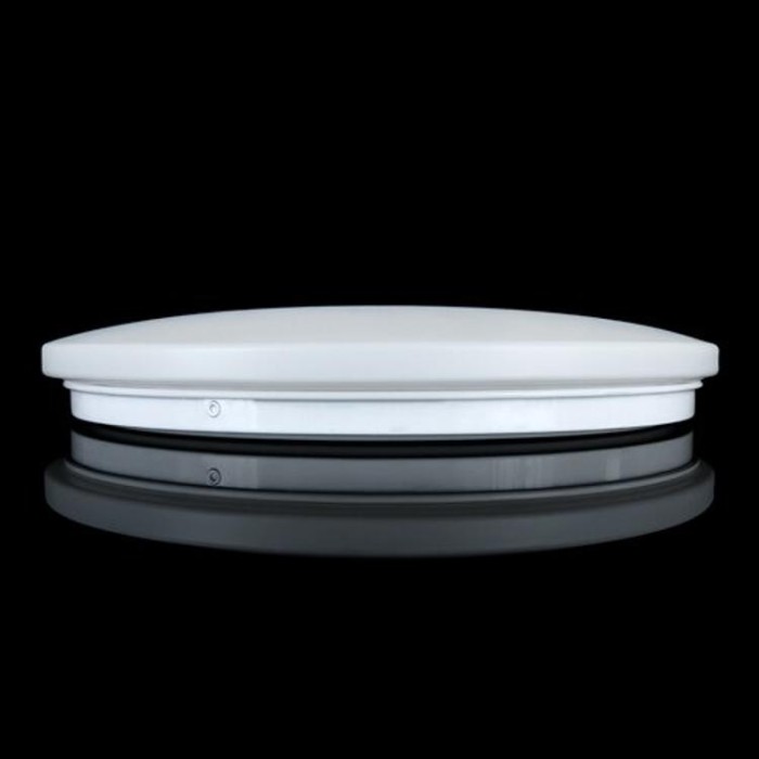 купить купить Светильник светодиодный OEM DL-R101-24-4 4500K 24Вт без д/у  