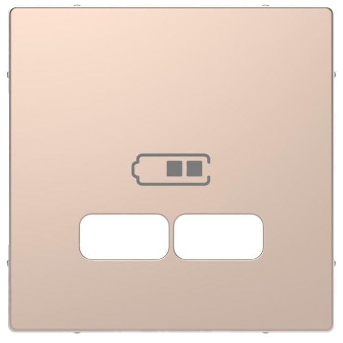 купить купить Центральная накладка USB шампань Merten D-Life Schneider Electric (Шнайдер Электрик)  