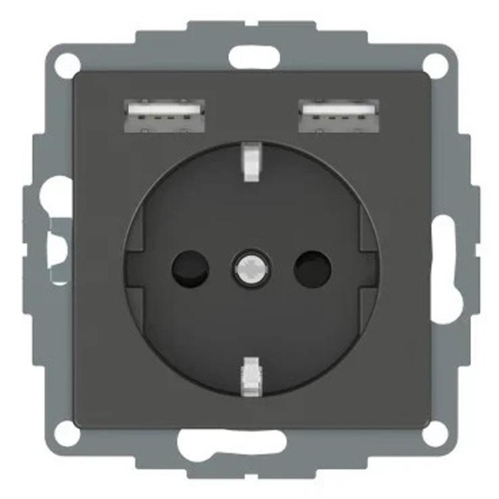 купить купить Розетка Schuko с 2- USB 2,4 A антрацит SM Schneider Electric (Шнайдер Электрик)  