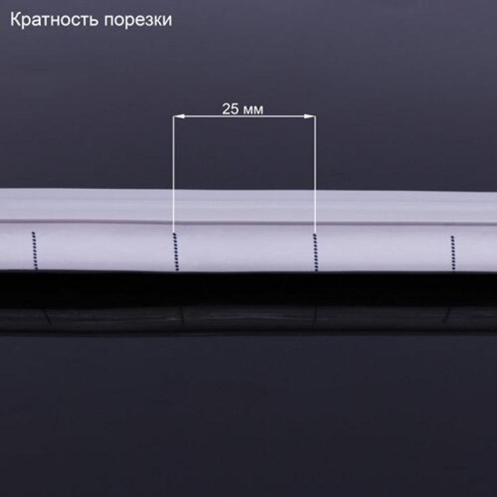 купить купить Светодиодная лента NEON 12В JL 2835-120 G IP65 зеленый, герметичная, 1м, Biom  