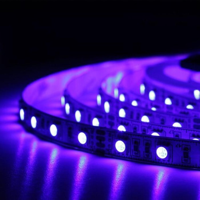 купить купить Светодиодная лента Professional BPS-G3-12-5050-60-RGB-20, негерметичная, 1м, Biom  