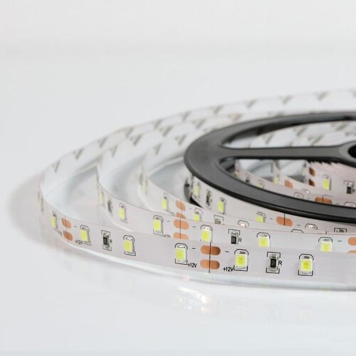 купить купить Светодиодная лента OEM ST-12-2835-60-B-20 синяя, негерметичная, 1м, Biom  
