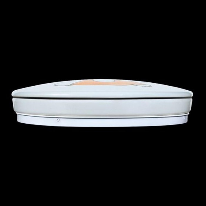 купить купить Светильник светодиодный Biom SMART SML-R12-50 3000-6000K 50Вт с д/у  