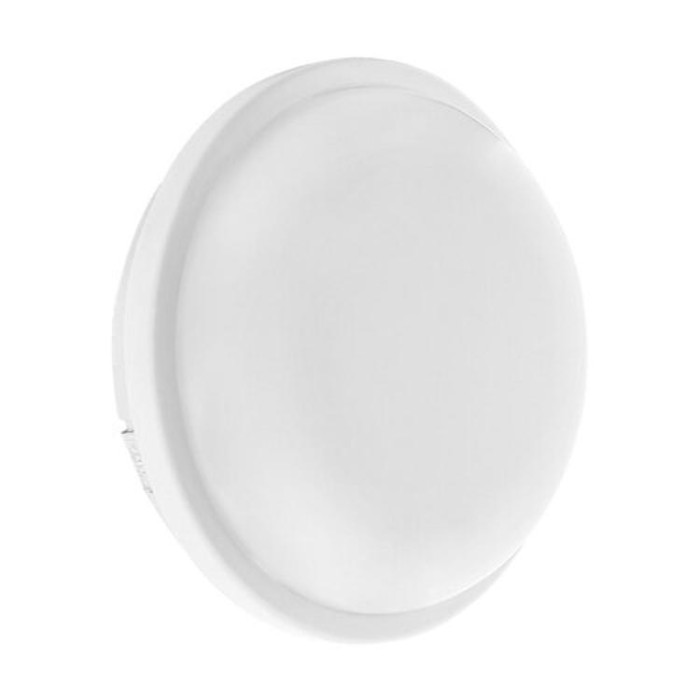 купить купить Светильник светодиодный ЖКХ Biom SMPL-R15-6 15Вт 6000К, круг, sensor  