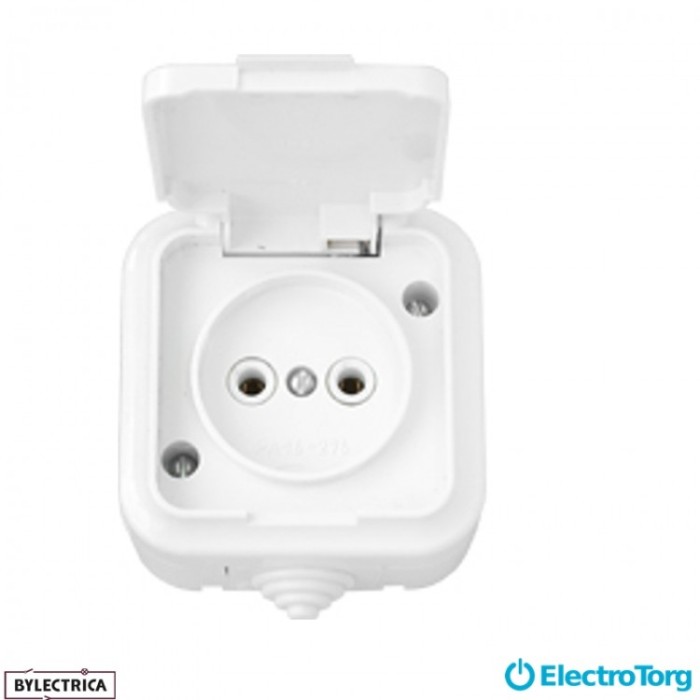 купить купить Розетка 1-я IP-44 Пралеска белая РА 16-296 BYLECTRICA  