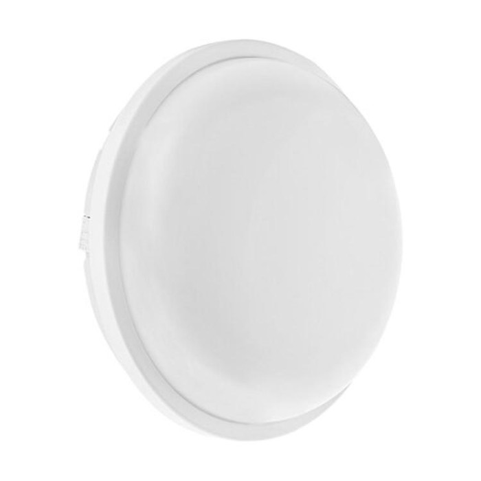 купить купить Светильник светодиодный ЖКХ Biom SMPL-R20-6 20Вт 6000К, круг, sensor  