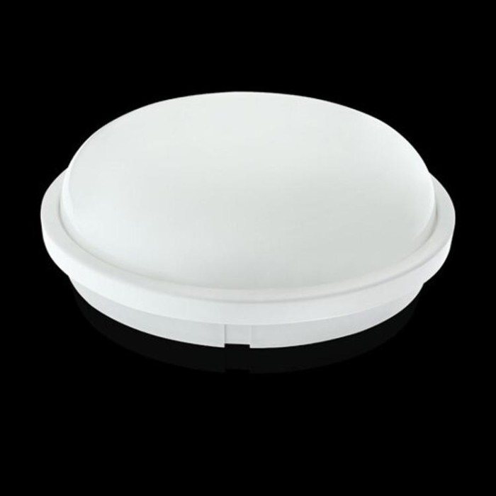 купить купить Светильник светодиодный ЖКХ Biom SMPL-R20-6 20Вт 6000К, круг, sensor  