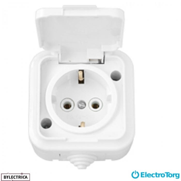 купить купить Розетка 1-я с з/к IP-44 Пралеска белая РА 16-297 BYLECTRICA  